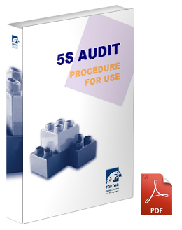 5S training audit excel